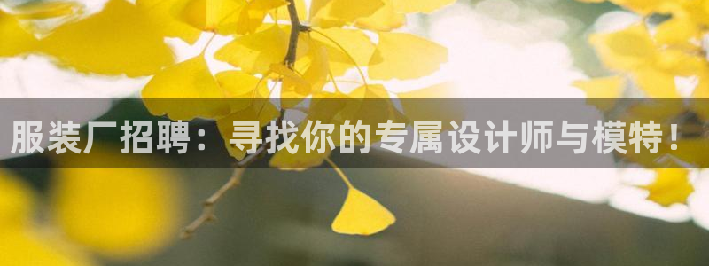 意昂体育3招商电话号码