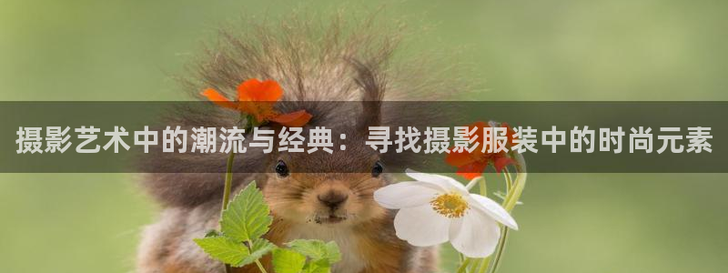 意昂体育3招商电话
