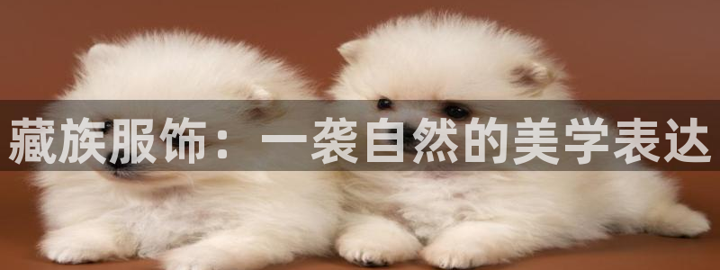 意昂3娱乐首页网站大全