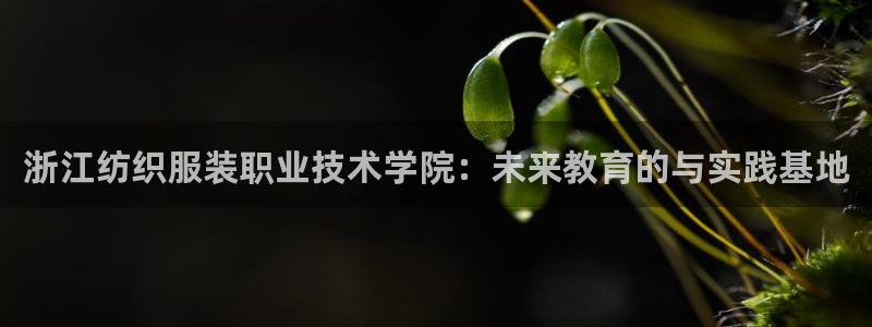意昂体育3平台假的吗是真的吗吗