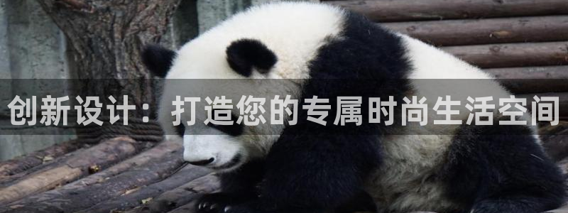 意昂3娱乐下载