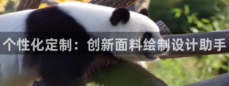 意昂3新能源