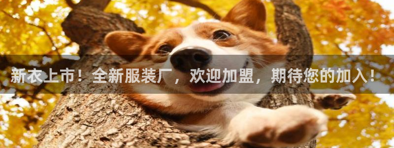 意昂体育3