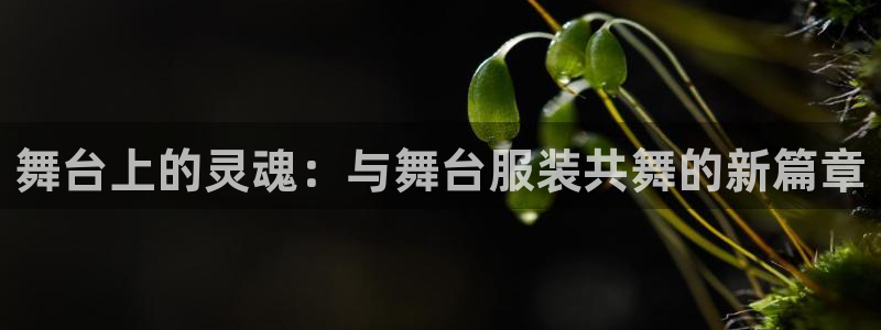 意昂体育3平台是正规平台吗
