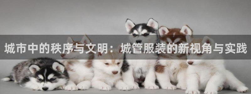 意昂平台体育
