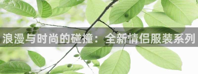 意昂体育3招商电话地址