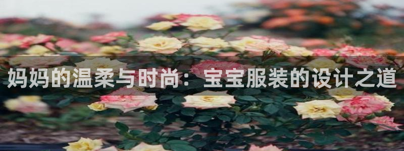 意昂3娱乐