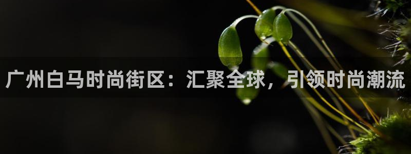 意昂3开户
