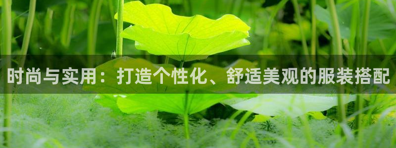 意昂体育3招商电话号码查询是多少