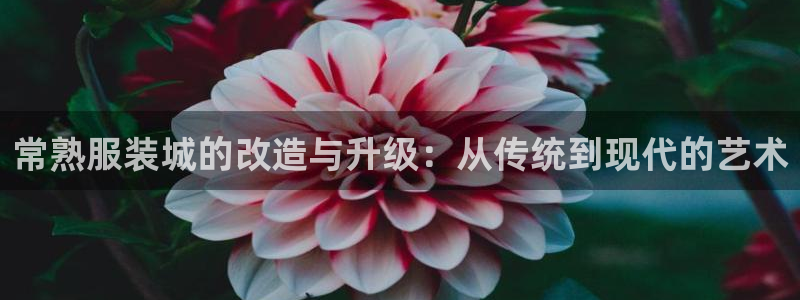 意昂体育3招商电话号码查询是多少