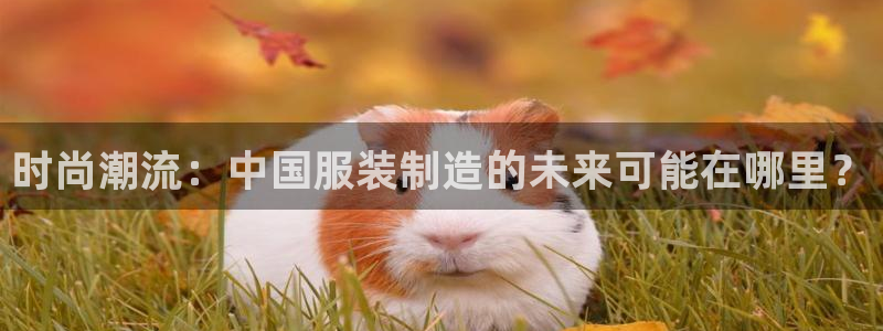 意昂3娱乐下载