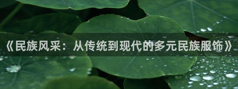 意昂体育3招商电话是多少啊