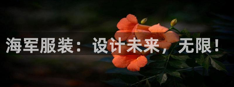 意昂体育3平台是正规平台吗知乎