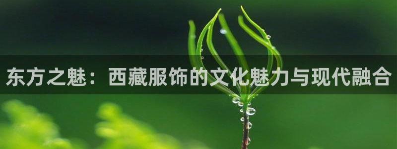 意昂体育3是干嘛的公司