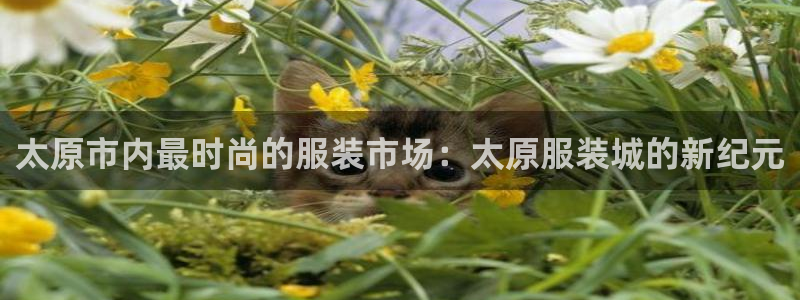 意昂体育3平台APP