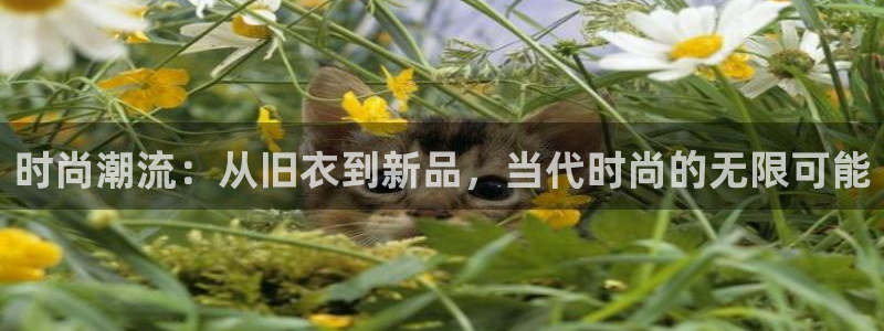 意昂体育3平台注册要钱吗是真的吗