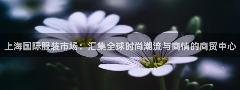 意昂体育3平台假的吗是真的吗