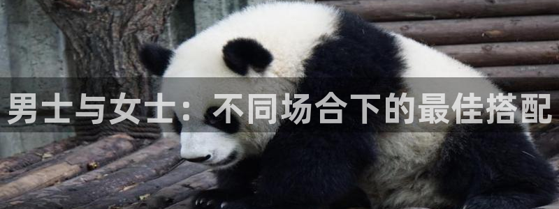 意昂3娱乐代理怎么样