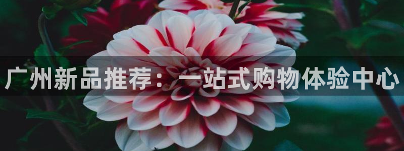意昂体育3开户