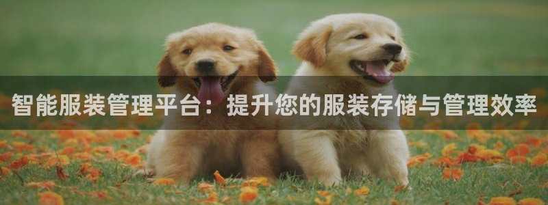 意昂平台体育